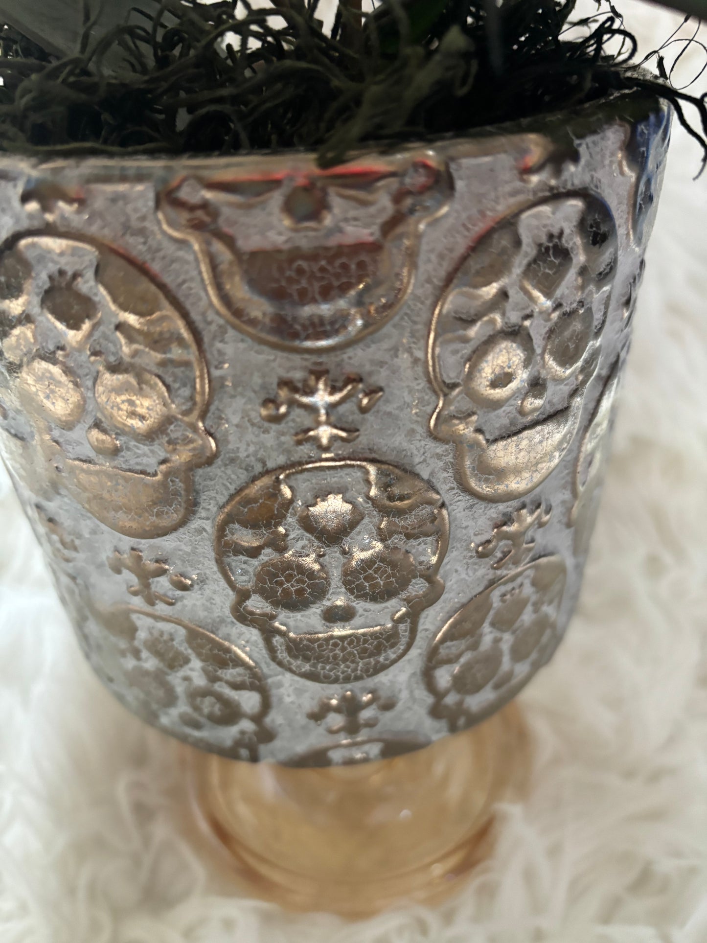 Skull Planter with Escargot Begonia