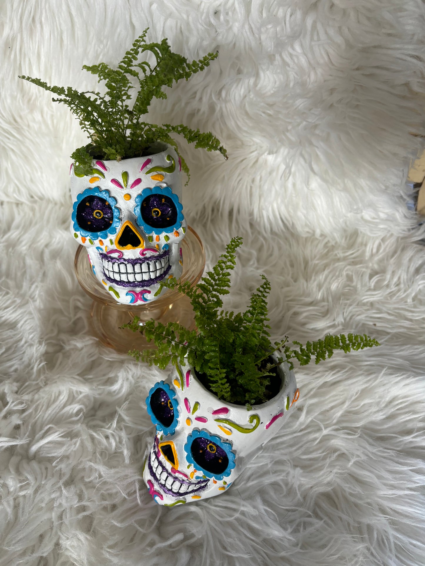 Sugar Skull Planter with Fern