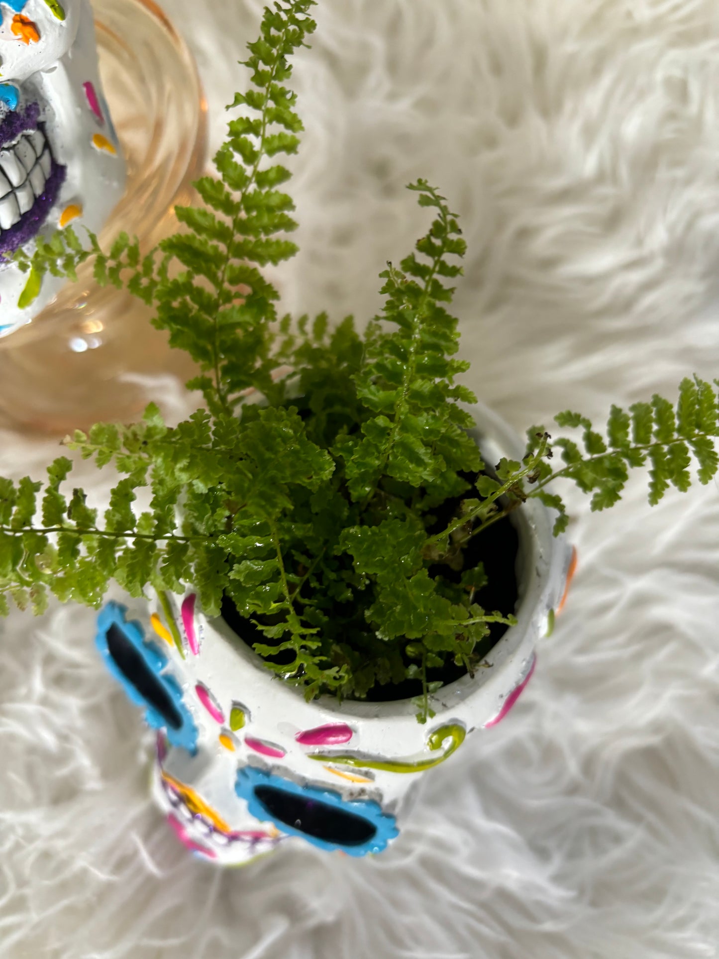Sugar Skull Planter with Fern