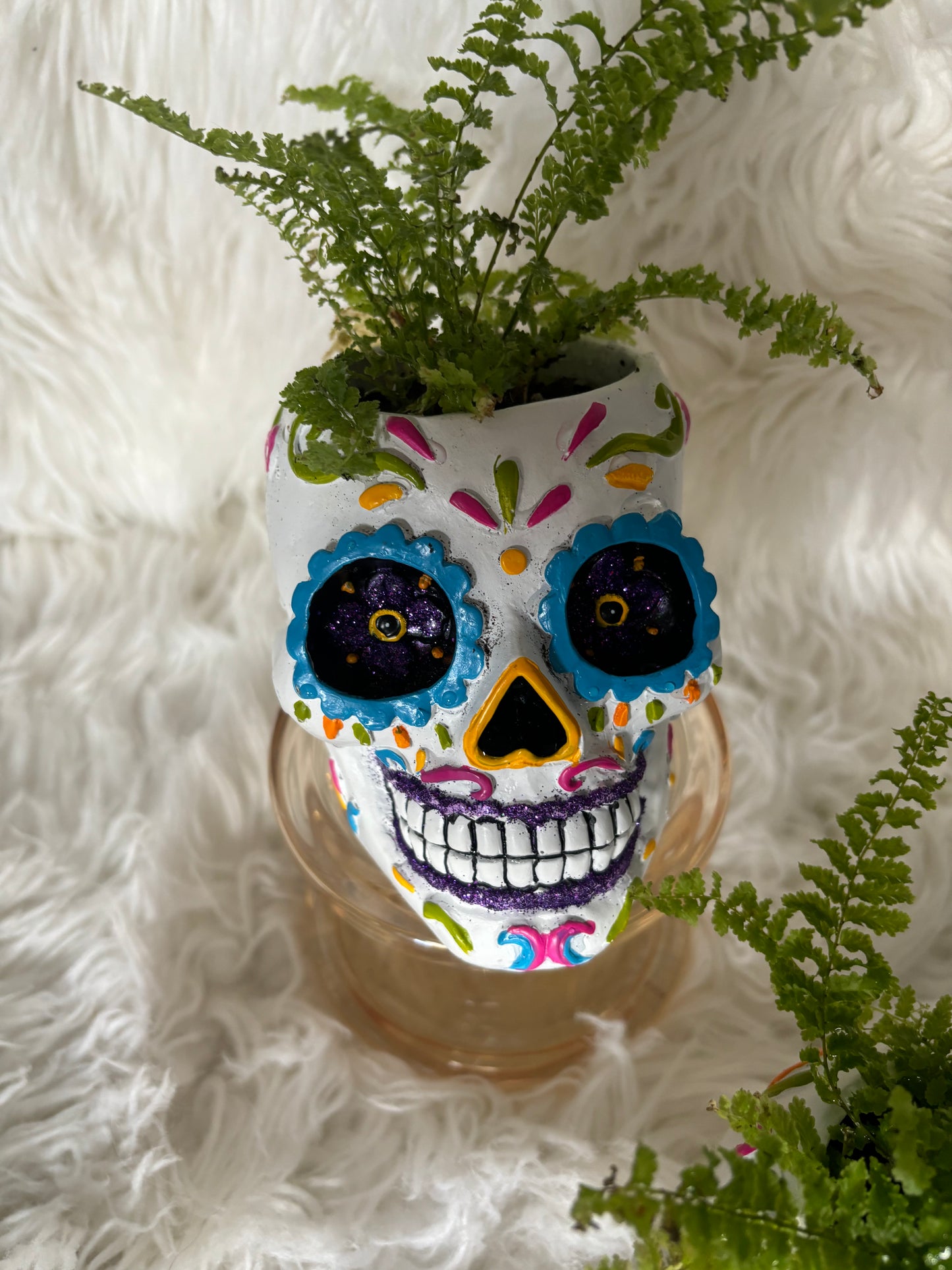 Sugar Skull Planter with Fern