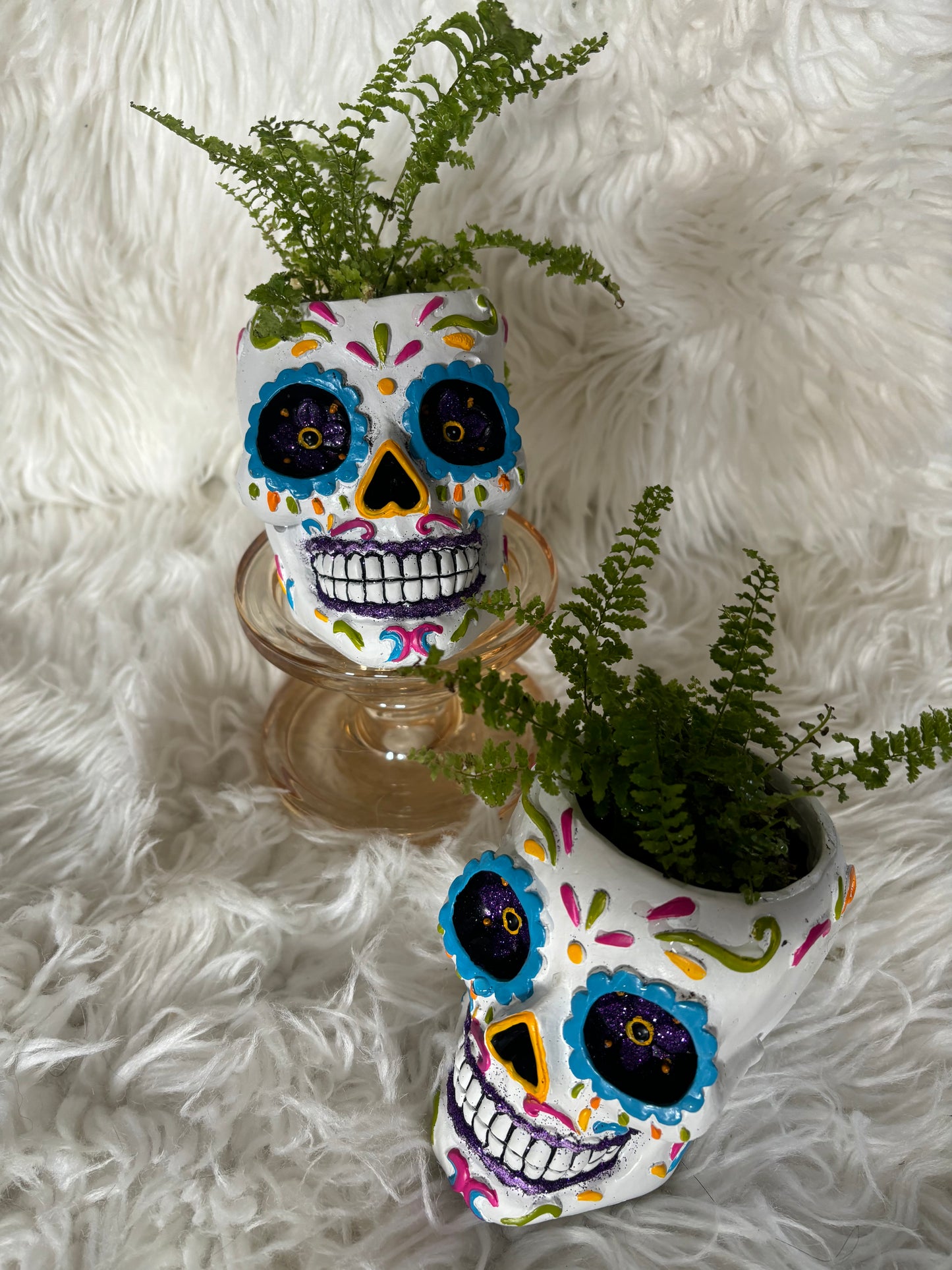 Sugar Skull Planter with Fern