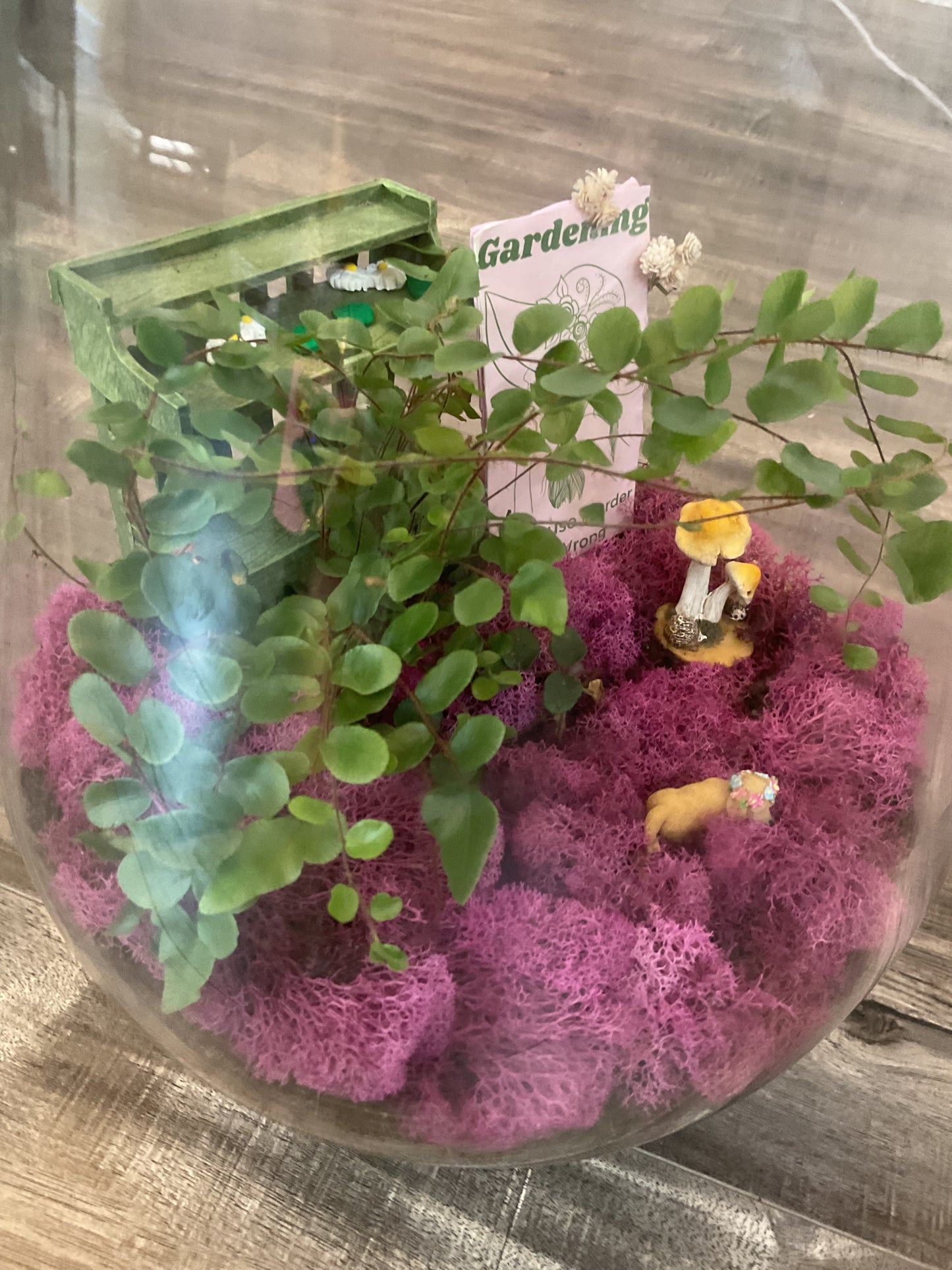 Gardening Because Murder Is Wrong Fairy Garden Terrarium