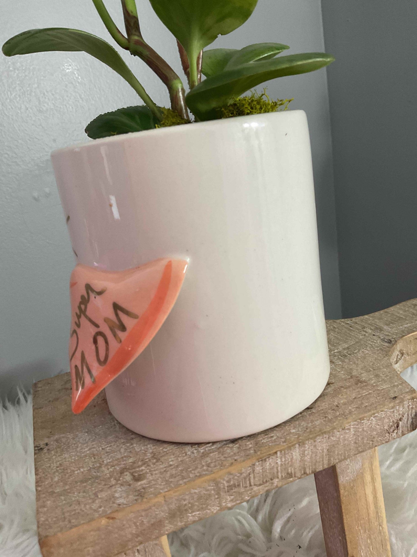 Peperomia potted Super Mom Pot 5.25"x 4.25"x 4.5"