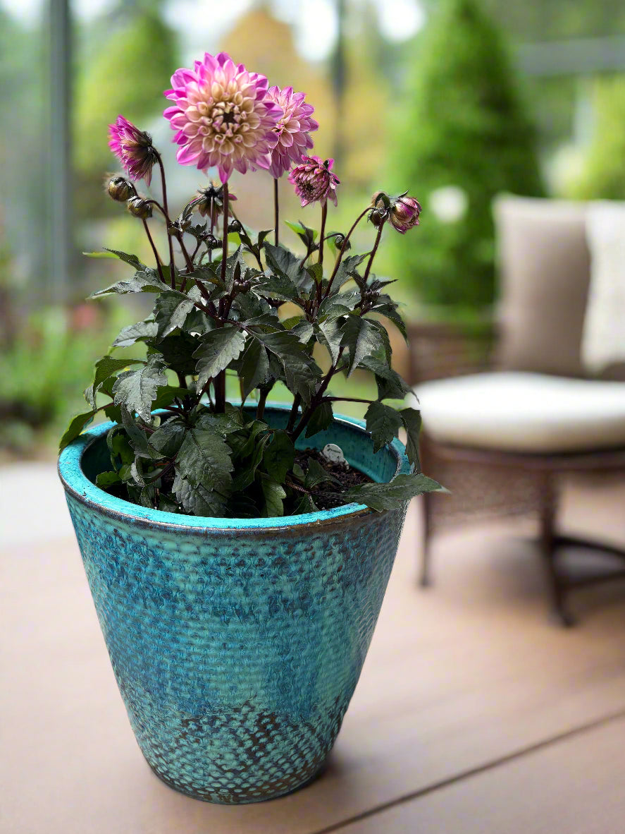 City Lights Lavender Pink Dahlia Potted Blue Ceramic Pot