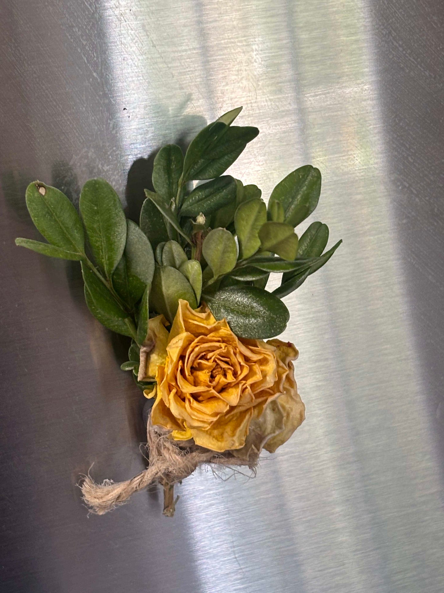 Dried Yellow Rose Magnet
