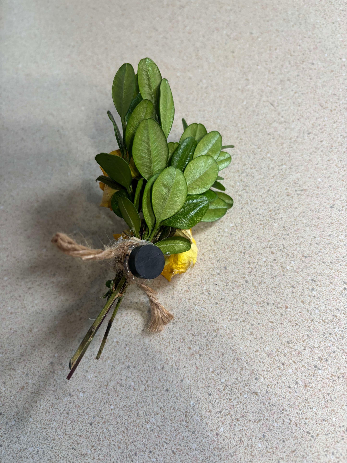 Dried Yellow Rose Magnet