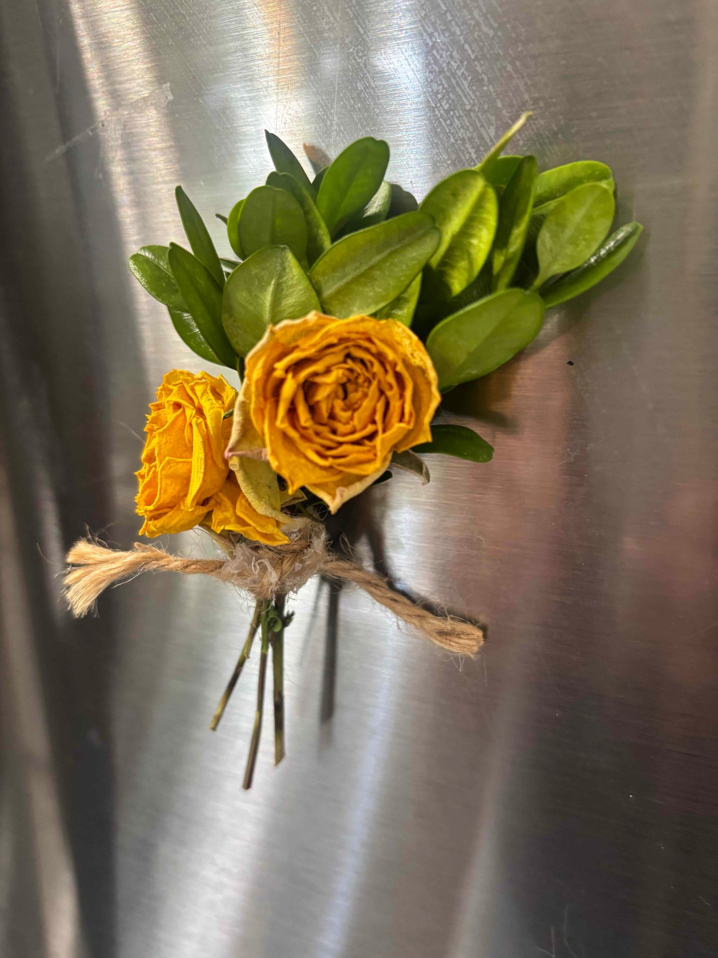Dried Yellow Rose Magnet
