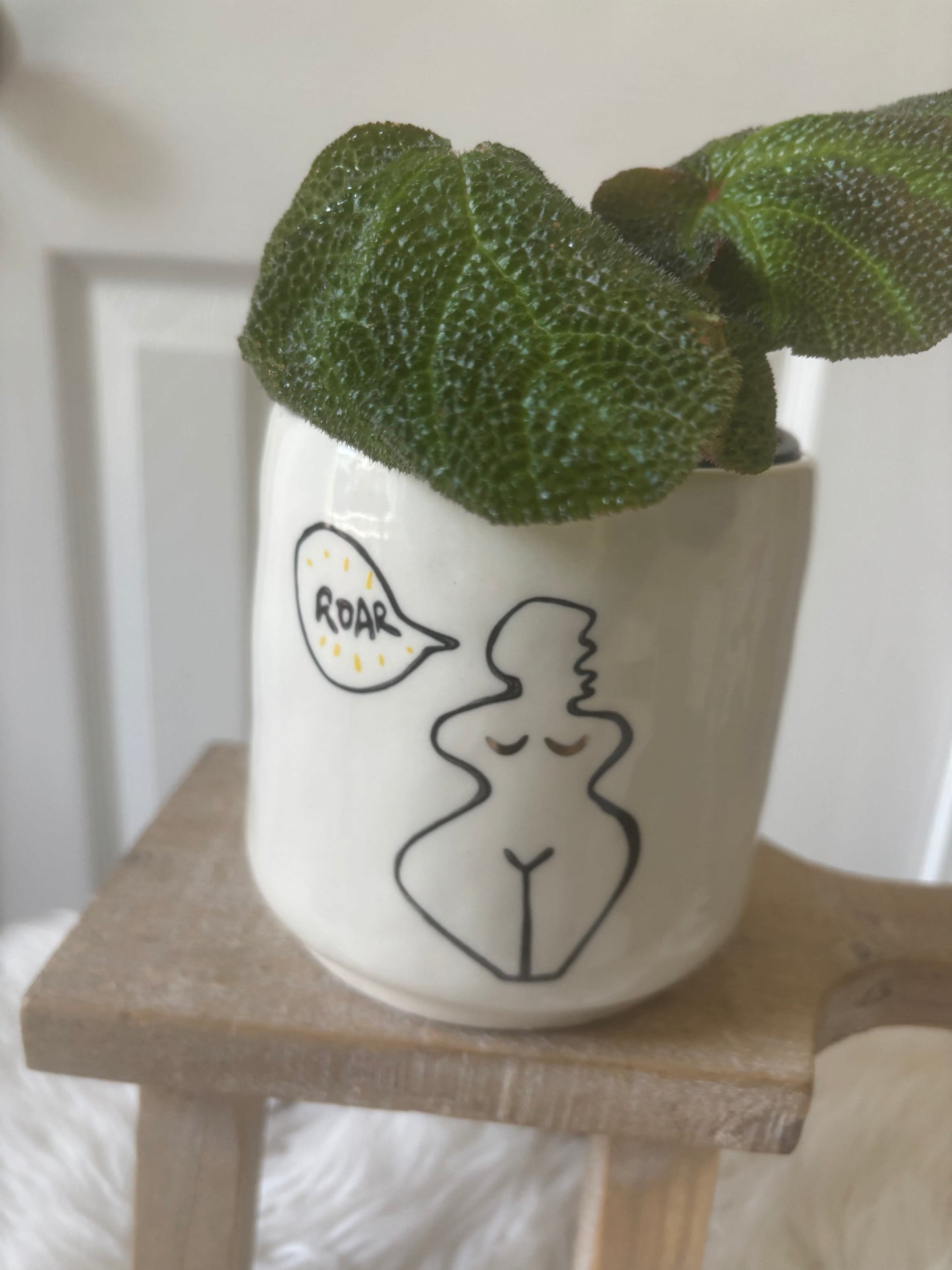 Begonia Soli-Mutata in 'Hear Me Roar' Pot