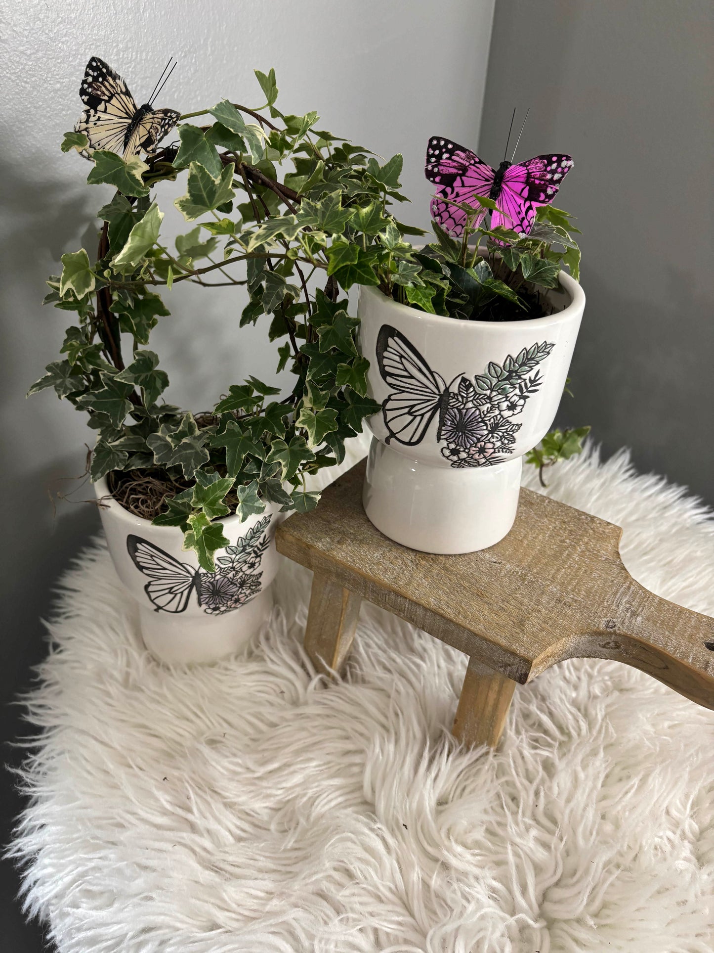 Spring is in the Air