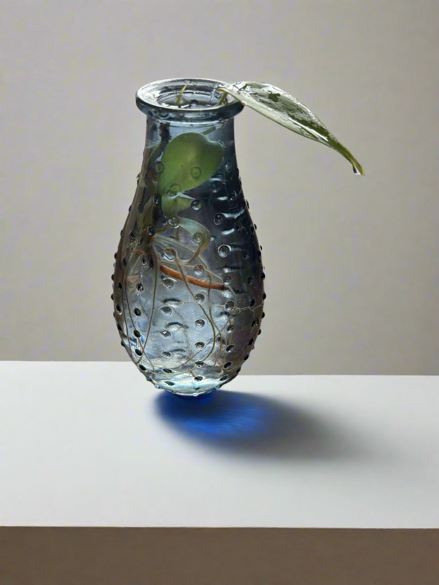 Blue Tinted Mini Vase (5 in) with Lemon Lime Philodendron Cutting