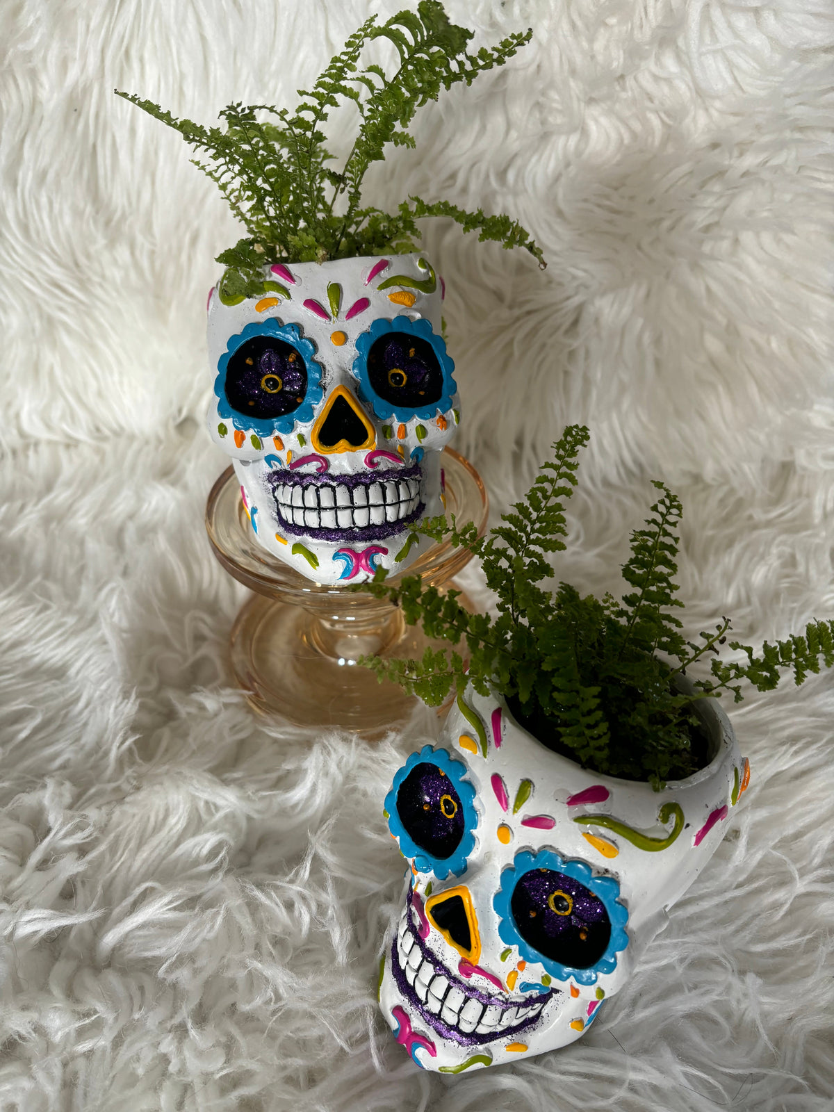 Spooky Season!  Halloween Inspired