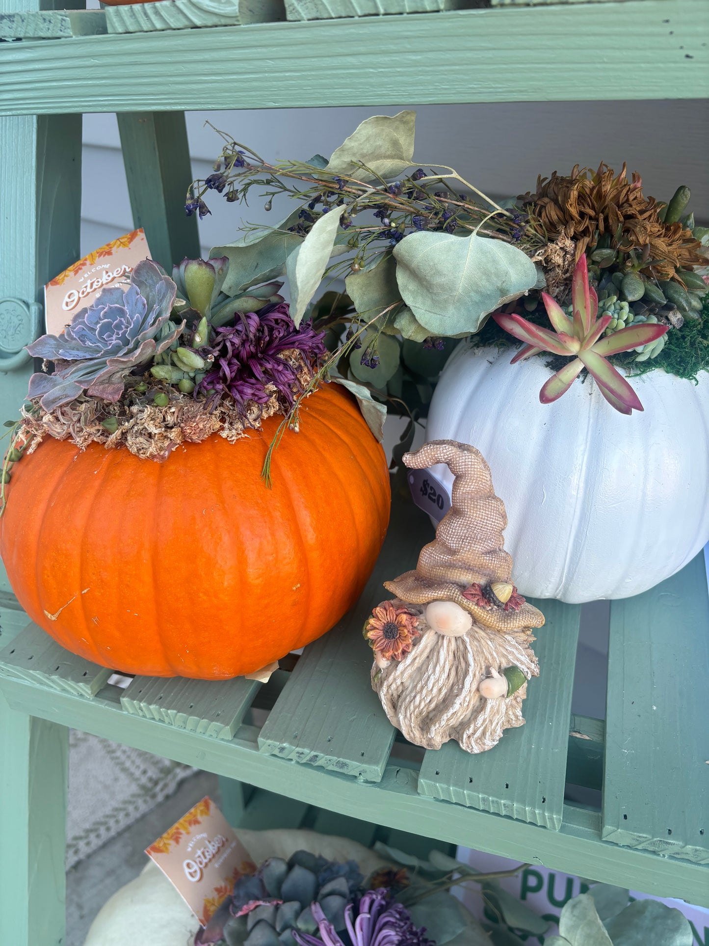 Gnome with Sunflower or Pumpkin (2 styles)