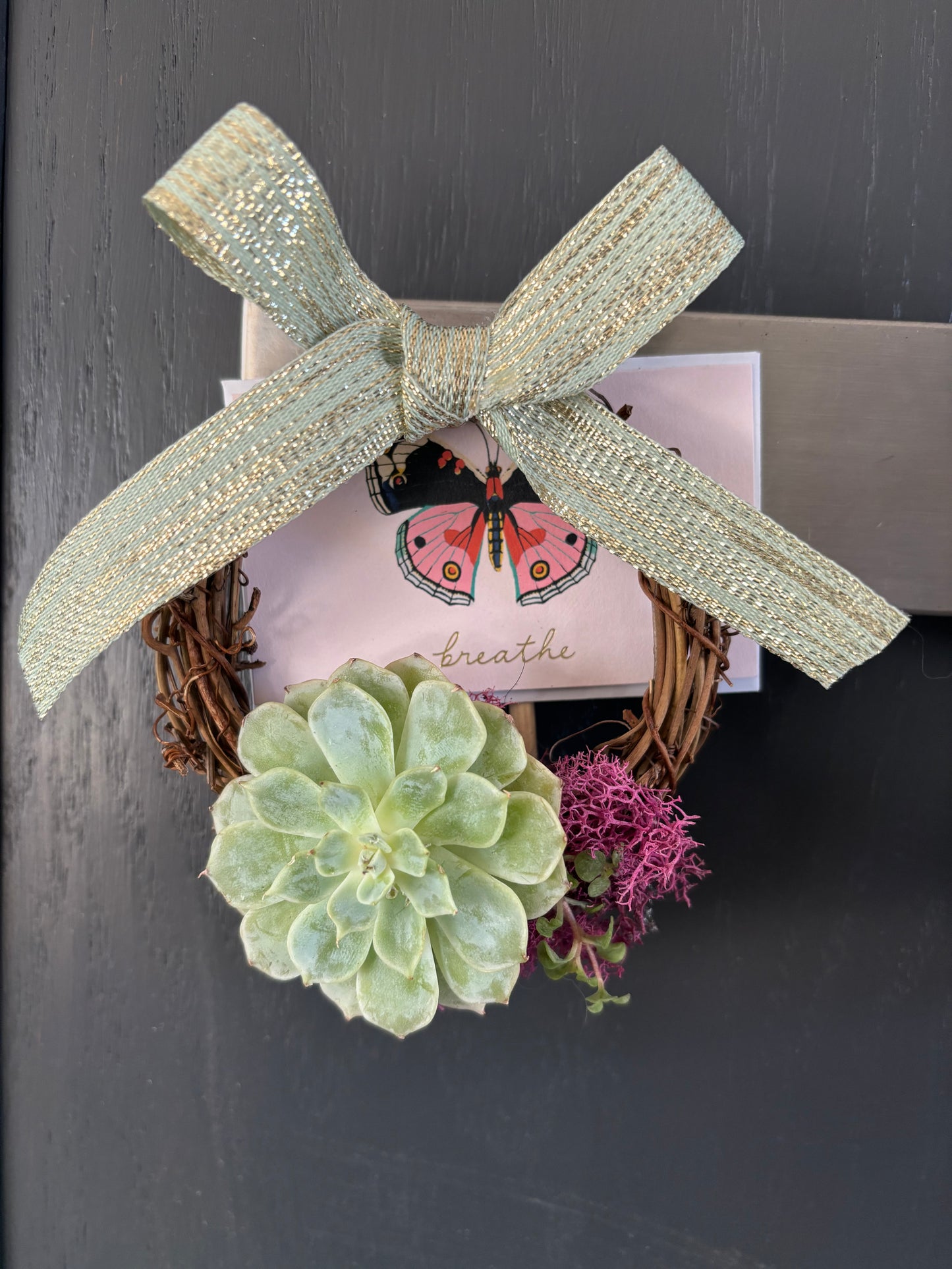Mini Succulent Wreaths (2 inch)