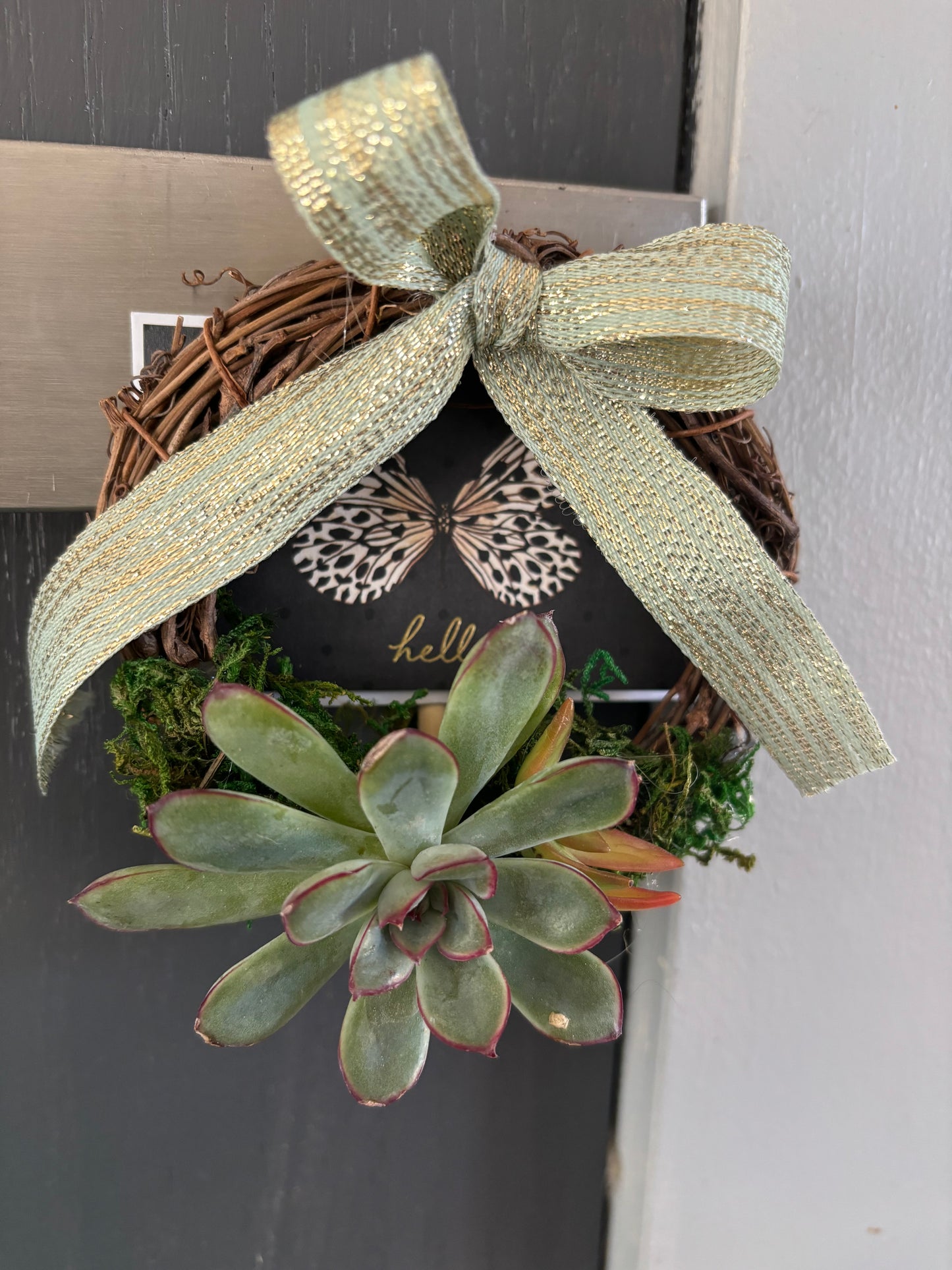 Small Succulent Wreaths (4 inch)