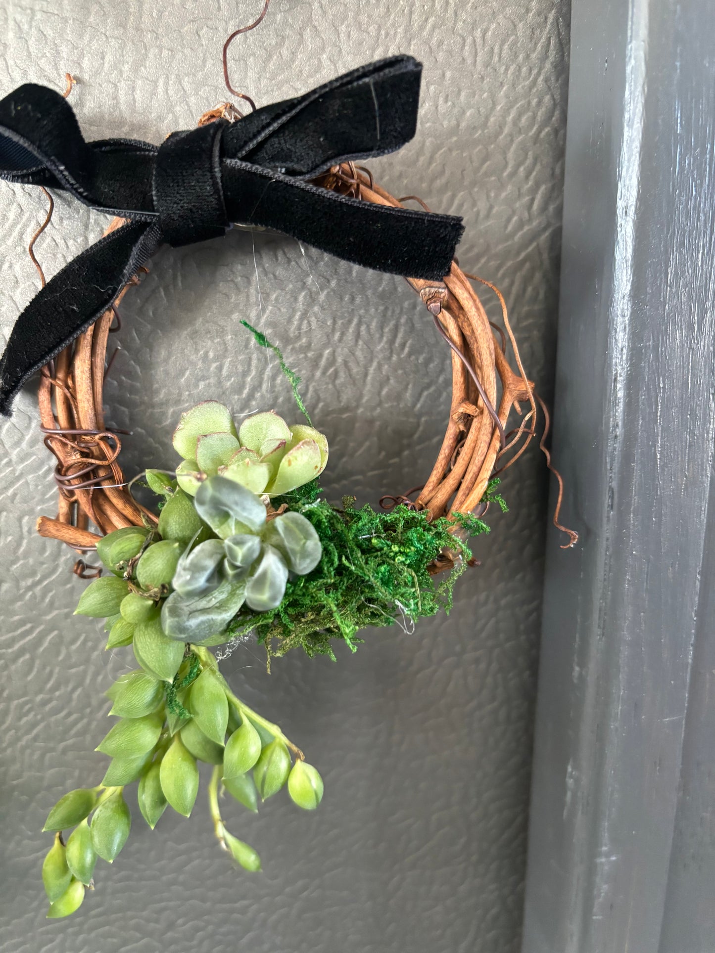 Mini Succulent Wreaths (2 inch)