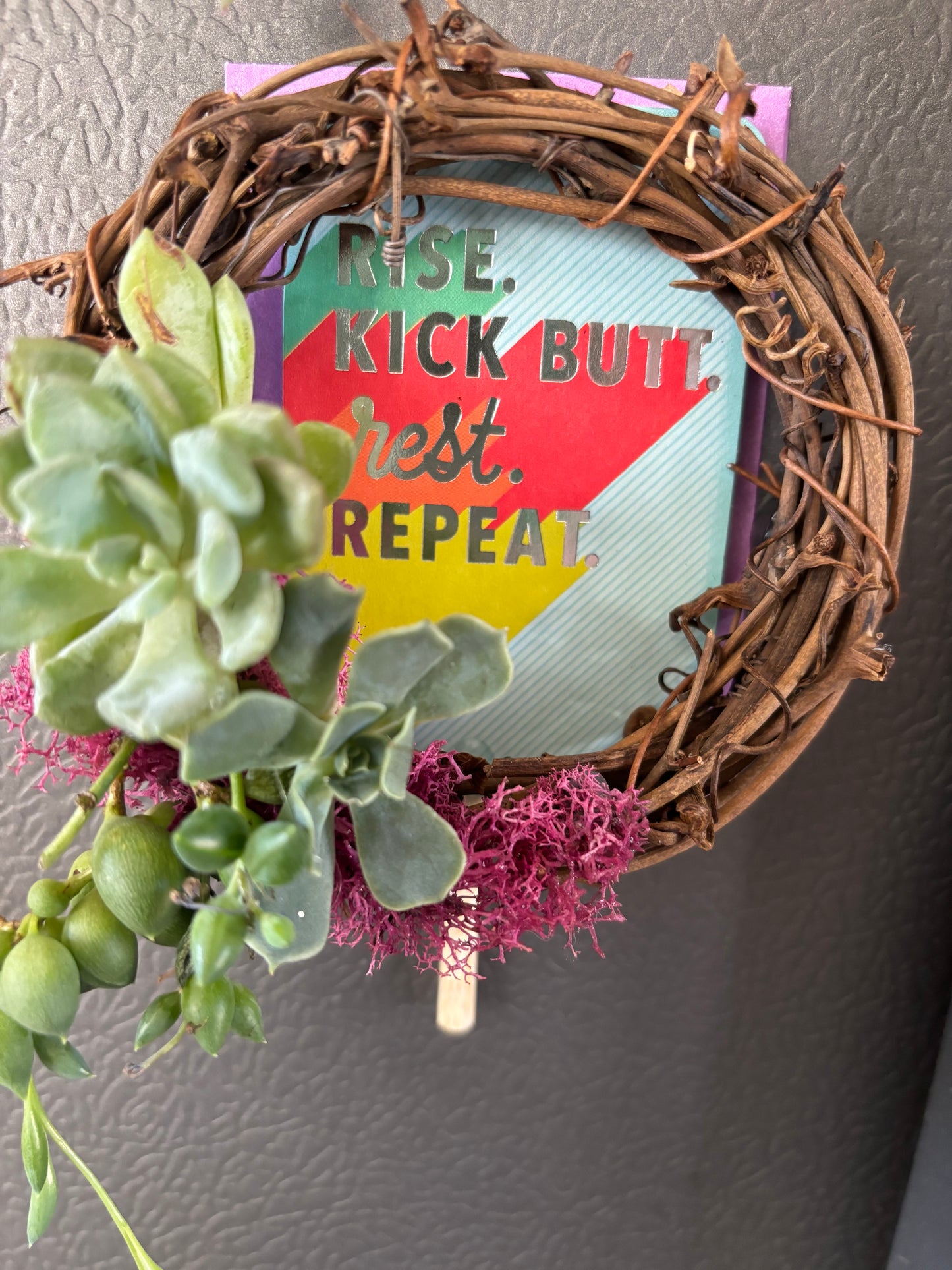 Mini Succulent Wreaths (2 inch)