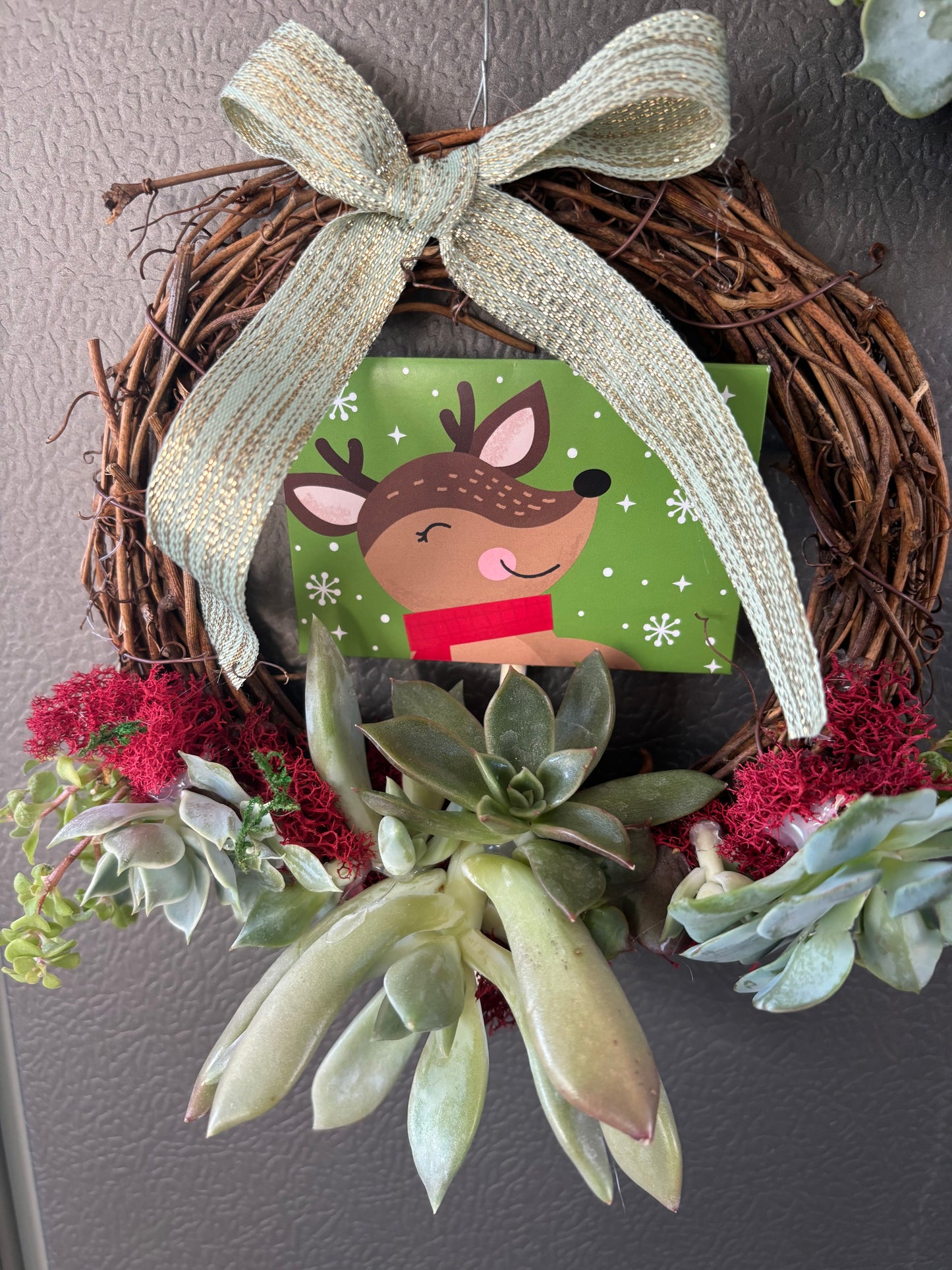Large  Succulent Wreaths (6 inch)