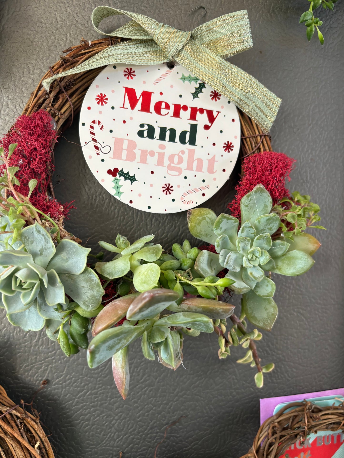 Large  Succulent Wreaths (6 inch)
