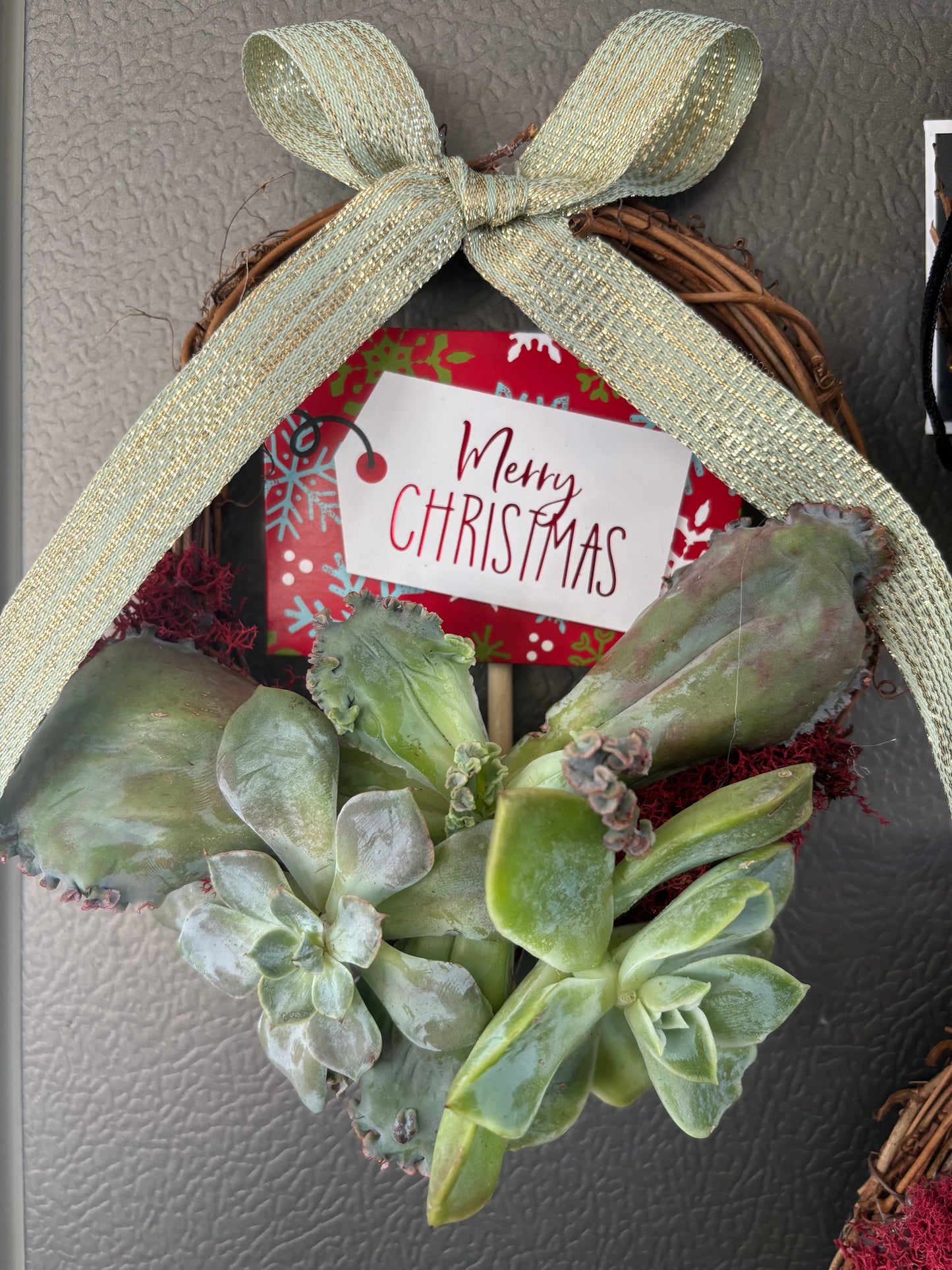 Mini Succulent Wreaths (2 inch)
