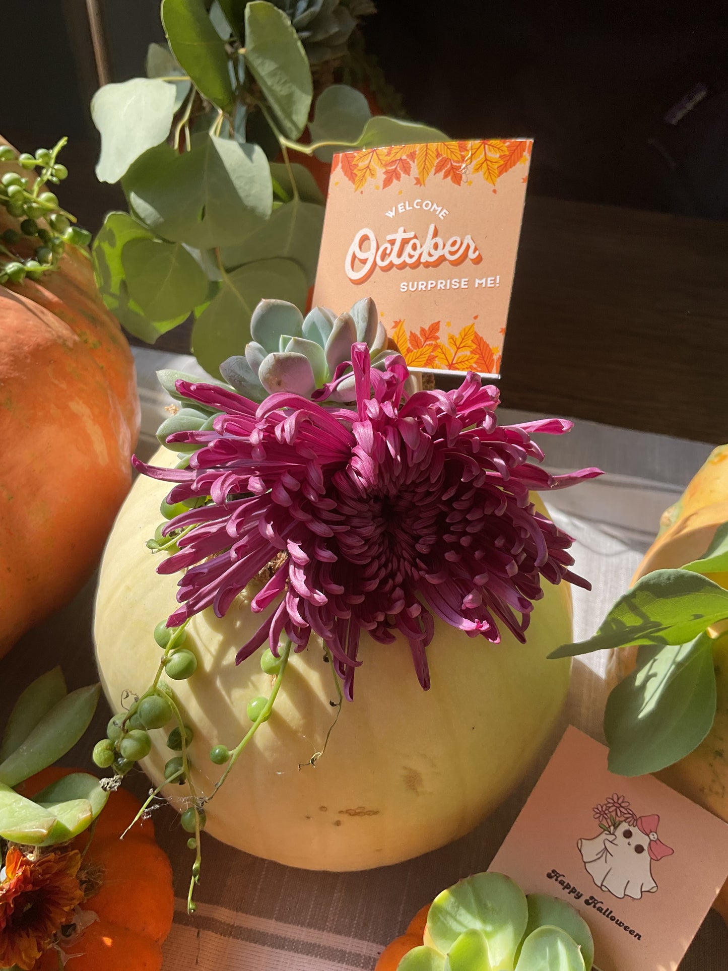 Pumpkin Succulent Small 6"