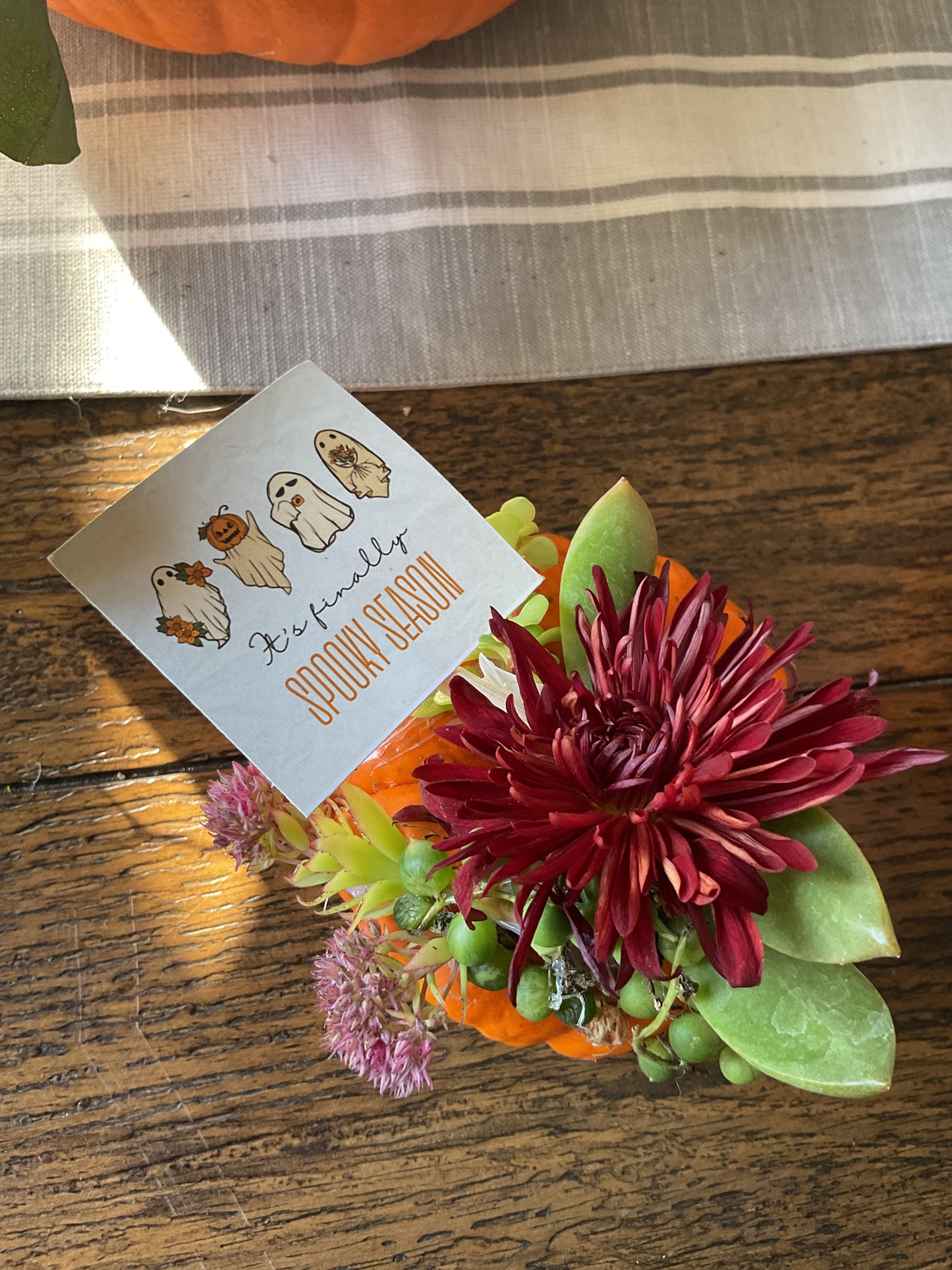 Desktop Mini Succulent Pumpkin