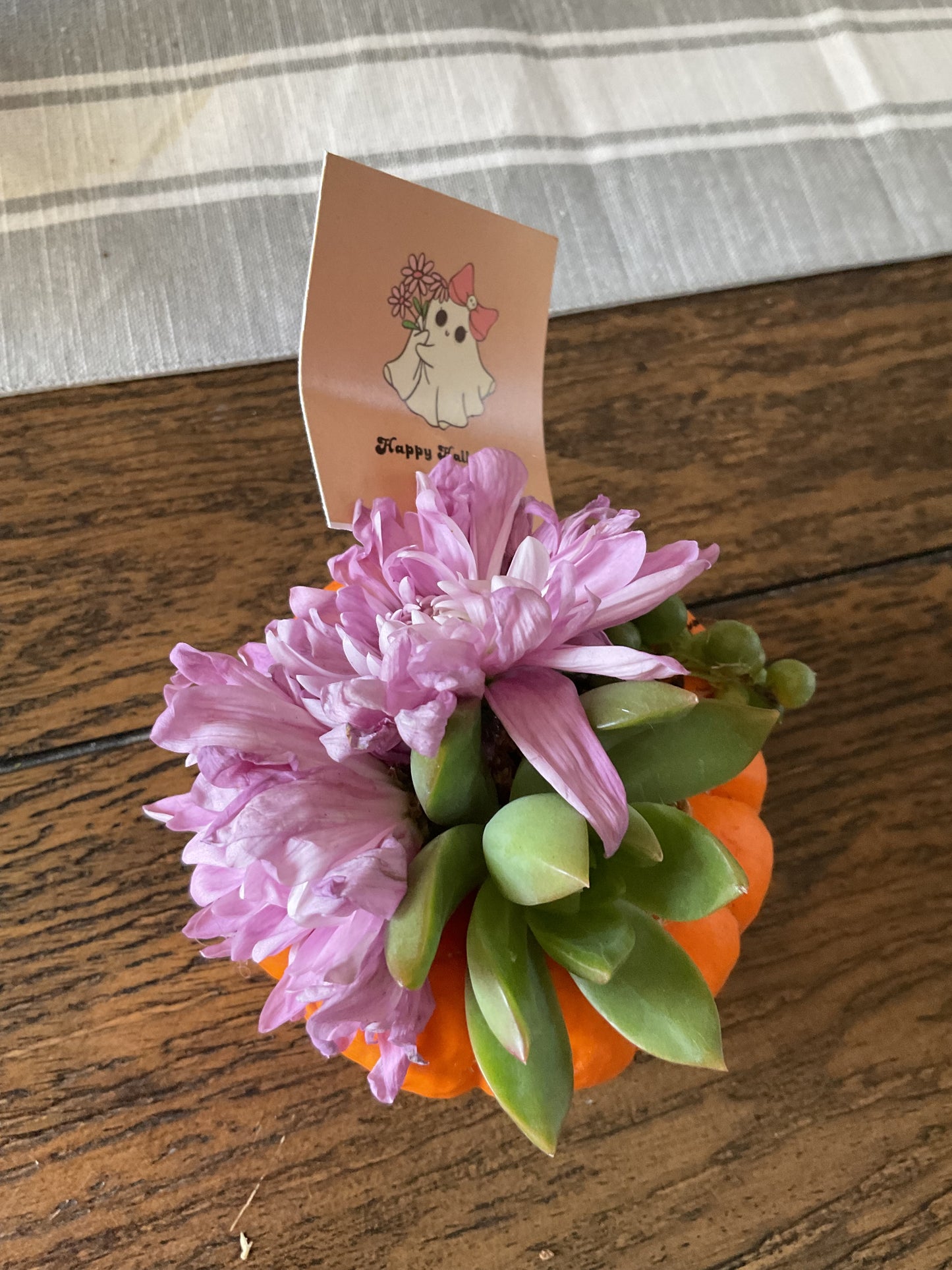Desktop Mini Succulent Pumpkin