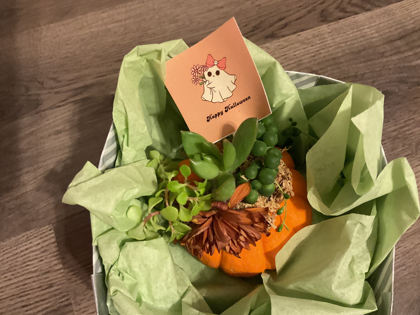 Desktop Mini Succulent Pumpkin