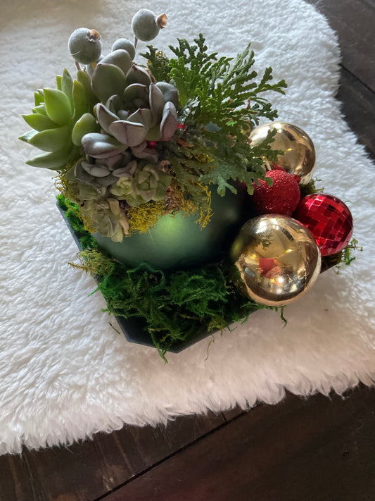 Jingle Bells Holiday Centerpiece with Succulents Small