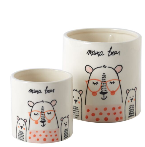 Potted String of Pearls