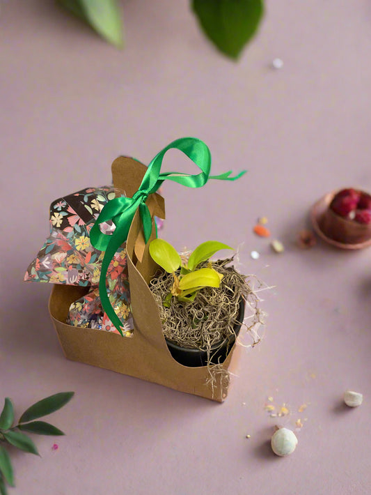 Springtime Treats