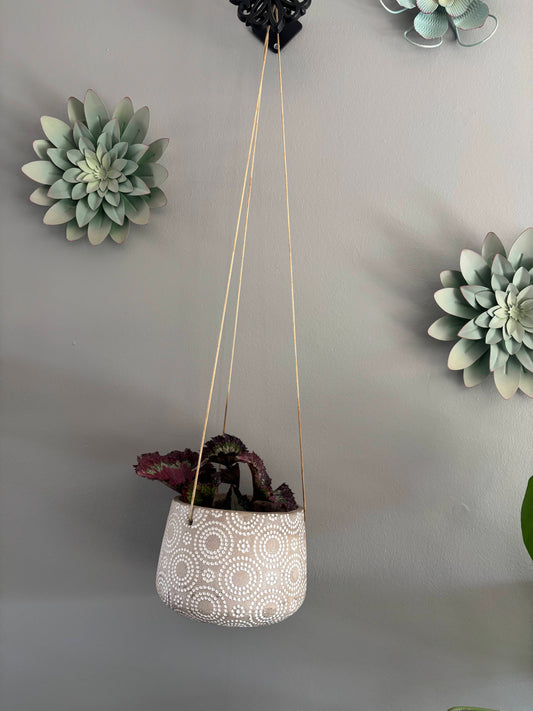 Rex Begonia in Hanging Pot