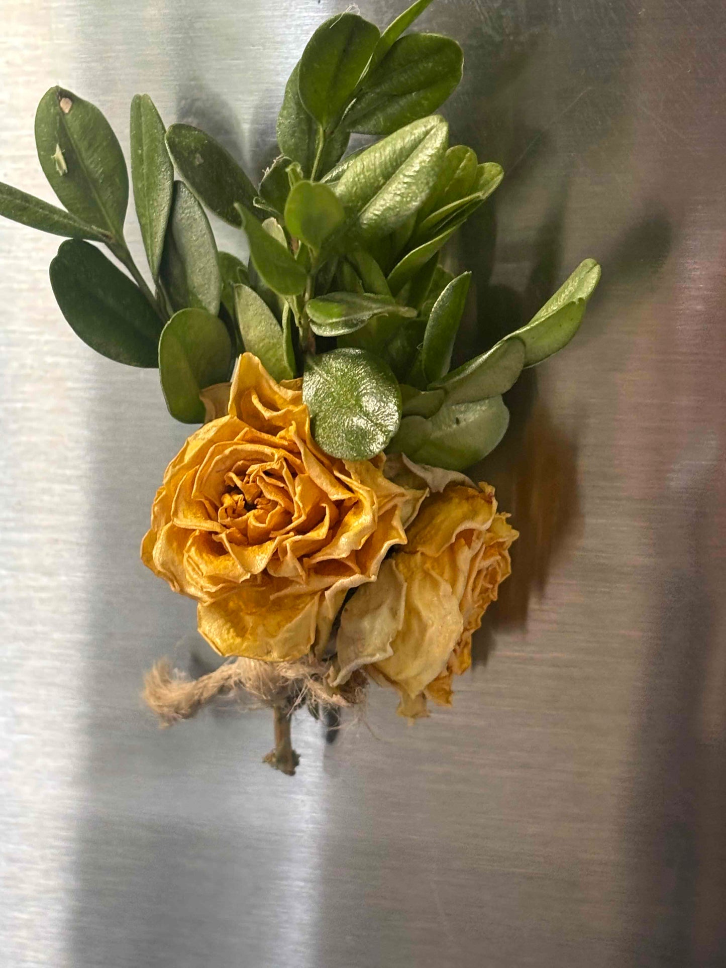 Dried Yellow Rose Magnet