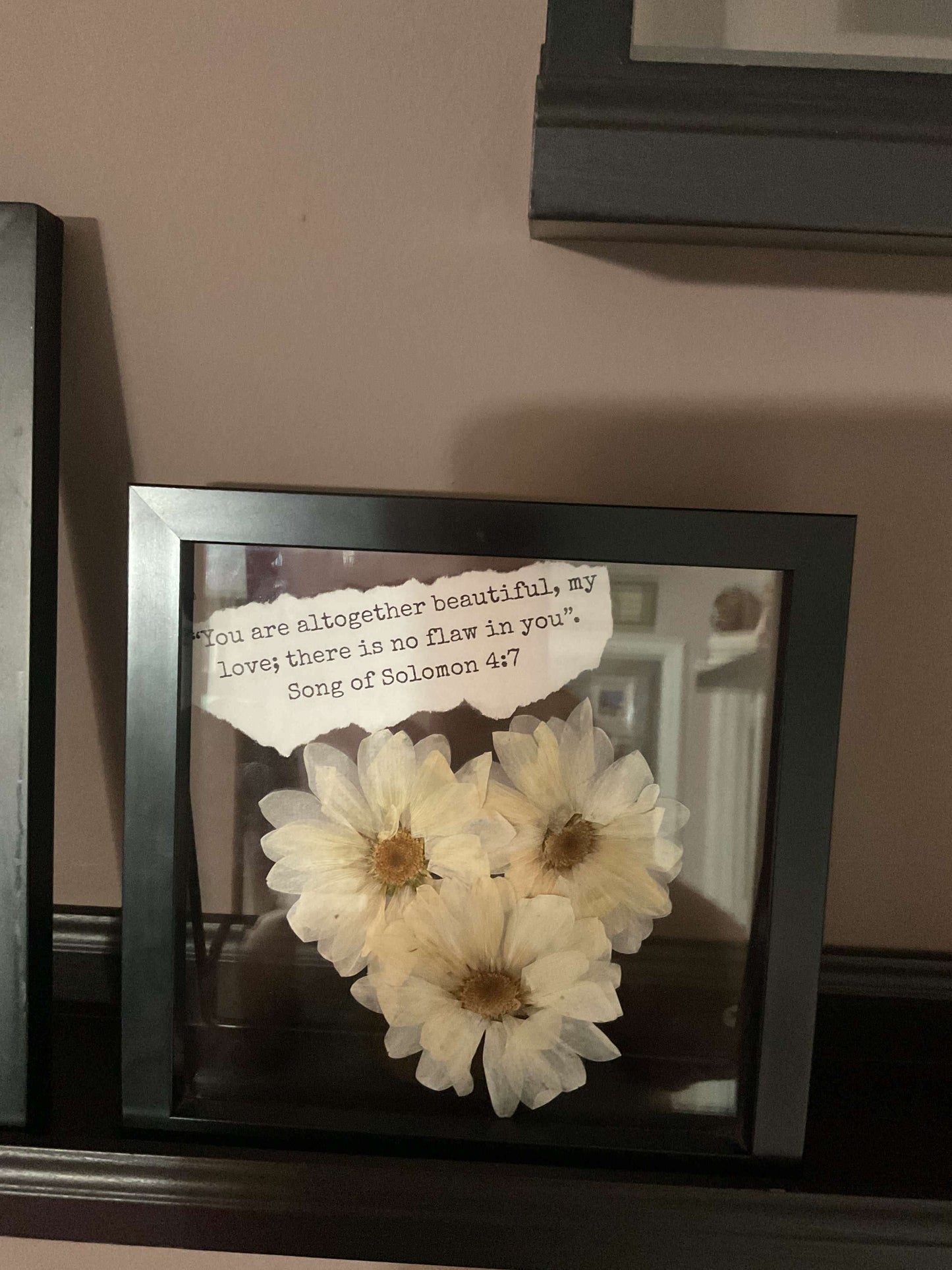 Framed Pressed Flowers