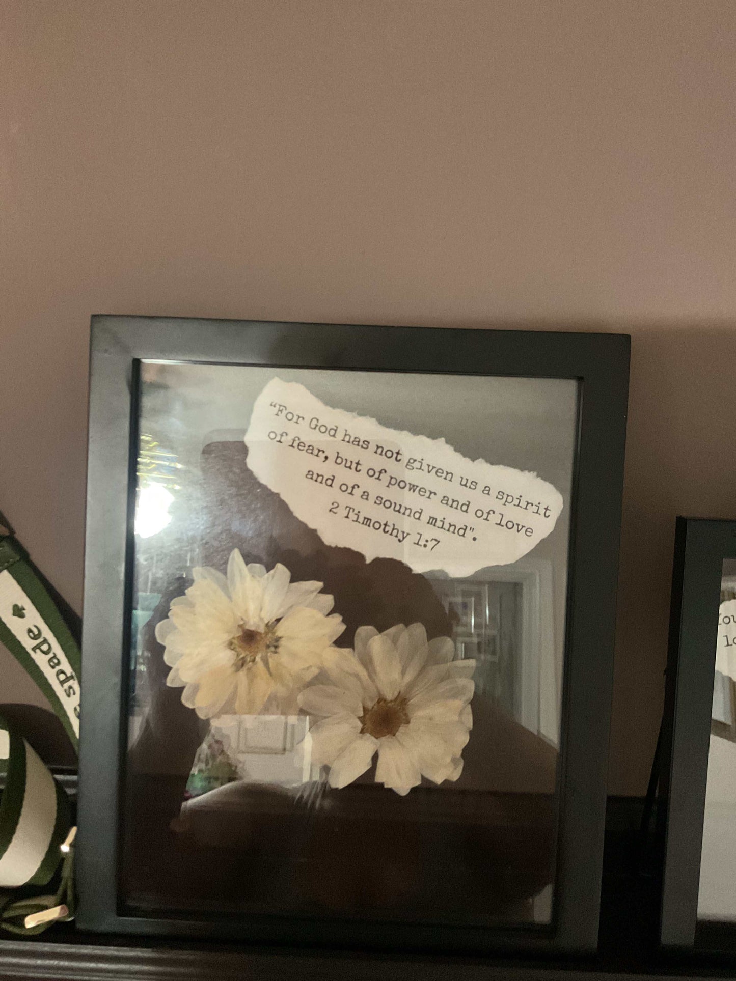 Framed Pressed Flowers