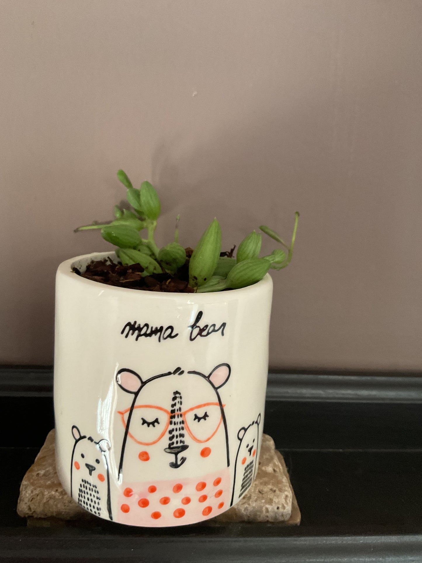 String of Watermelon