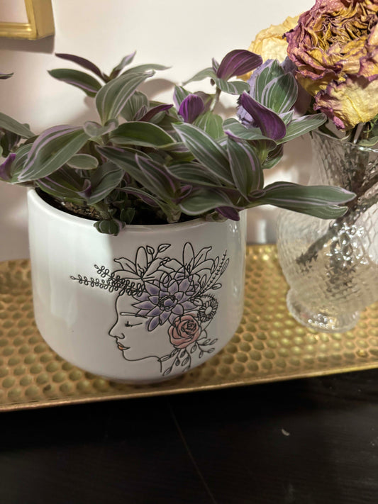 Tradescantia "Nanouk"