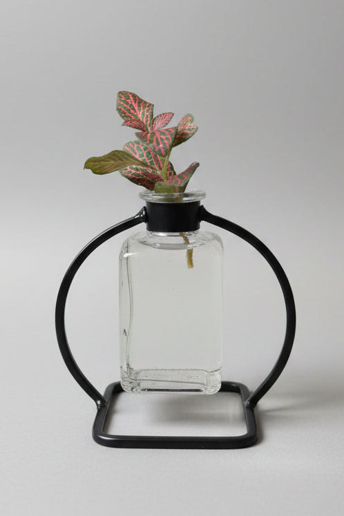 Propagation Vase with Nerve Plant