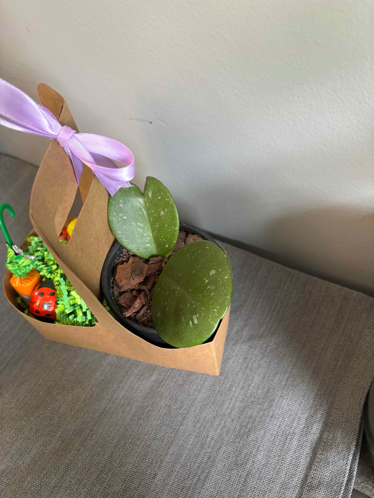Springtime Treats