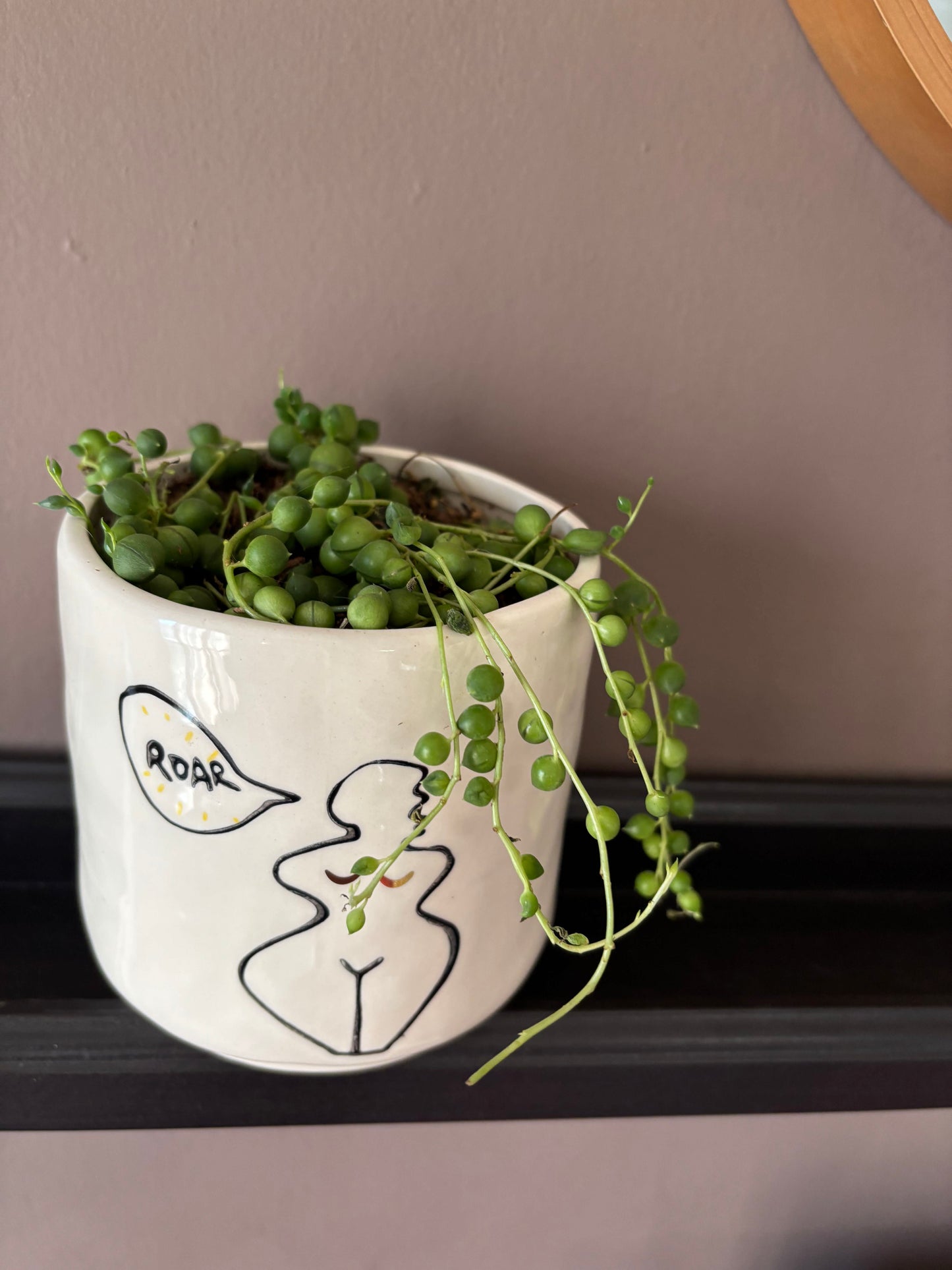 Potted String of Pearls