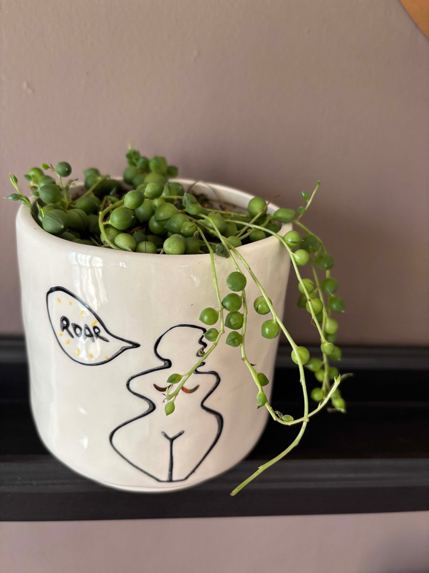 Potted String of Pearls