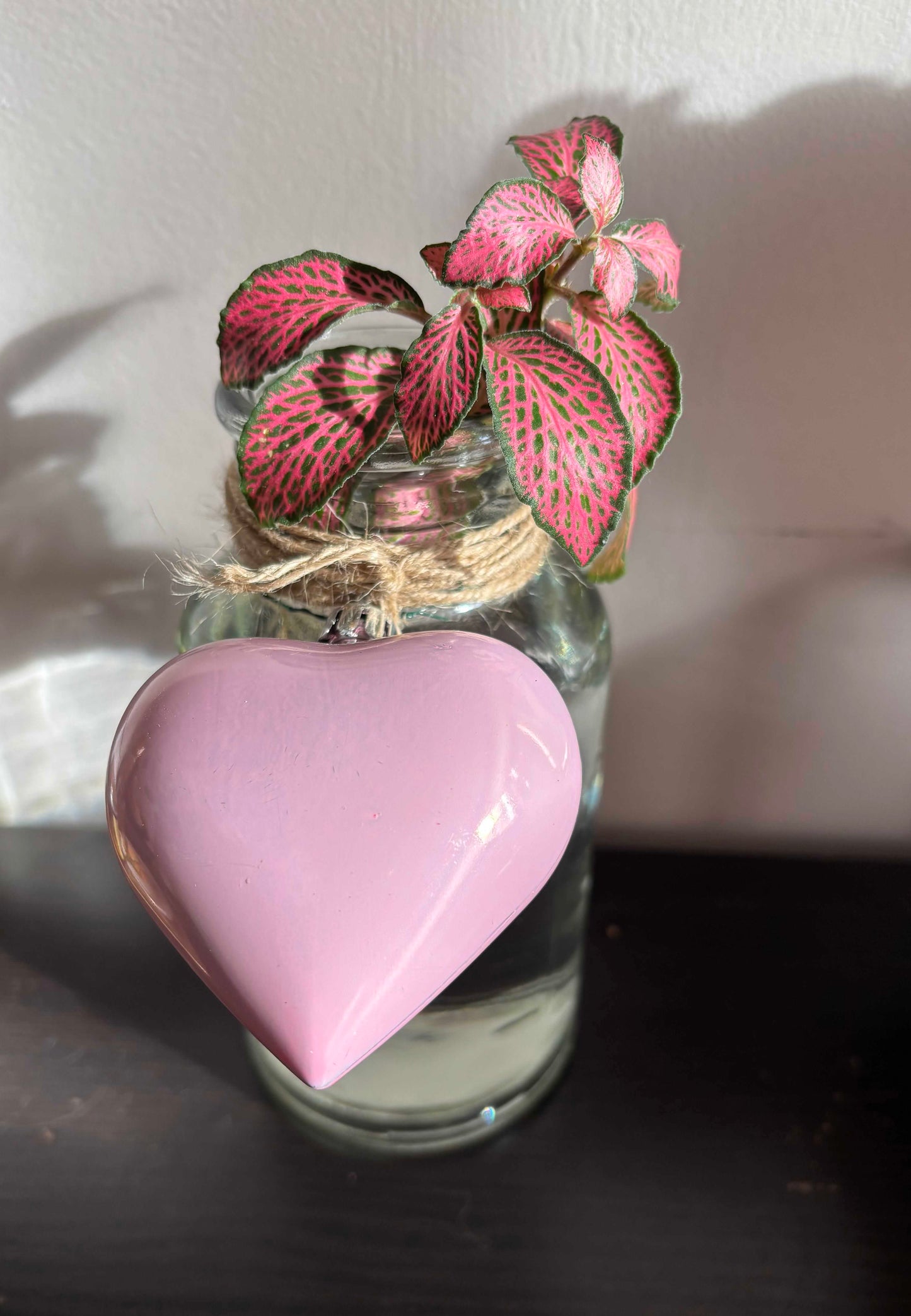 Enchanted Vase with Nerve Plant